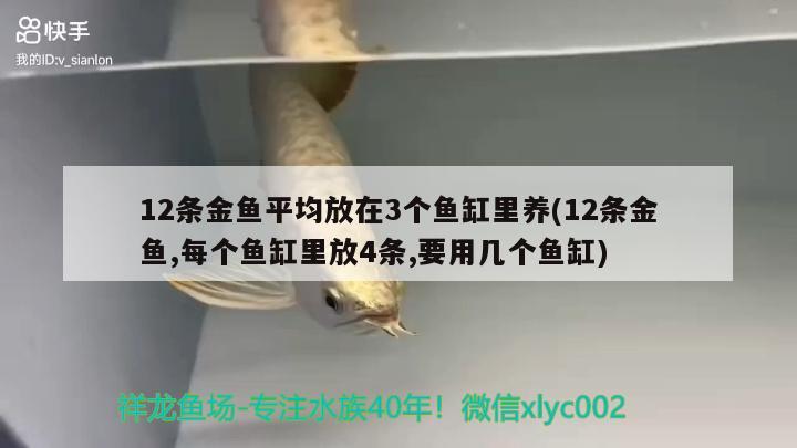 12條金魚平均放在3個魚缸里養(yǎng)(12條金魚,每個魚缸里放4條,要用幾個魚缸)