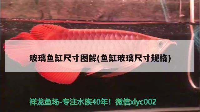 玻璃魚缸尺寸圖解(魚缸玻璃尺寸規(guī)格) 除藻劑