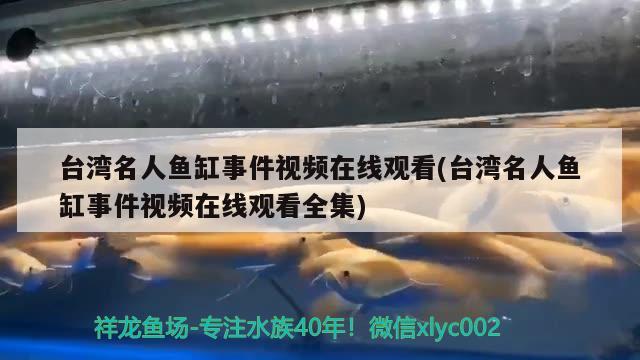 臺灣名人魚缸事件視頻在線觀看(臺灣名人魚缸事件視頻在線觀看全集) 魚缸風(fēng)水 第2張