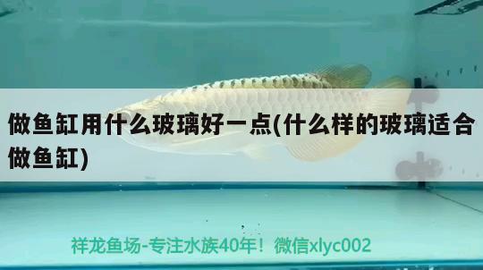 做魚缸用什么玻璃好一點(什么樣的玻璃適合做魚缸) 蝴蝶鯉魚苗