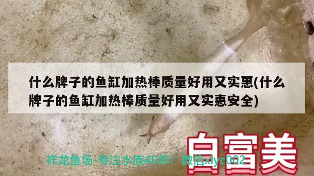 什么牌子的魚缸加熱棒質量好用又實惠(什么牌子的魚缸加熱棒質量好用又實惠安全)