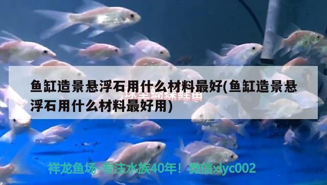 魚缸造景懸浮石用什么材料最好(魚缸造景懸浮石用什么材料最好用)