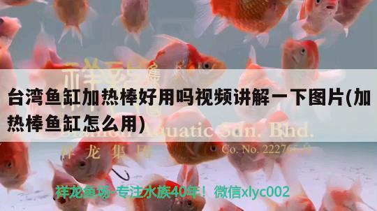 臺灣魚缸加熱棒好用嗎視頻講解一下圖片(加熱棒魚缸怎么用) 九鼎魚缸