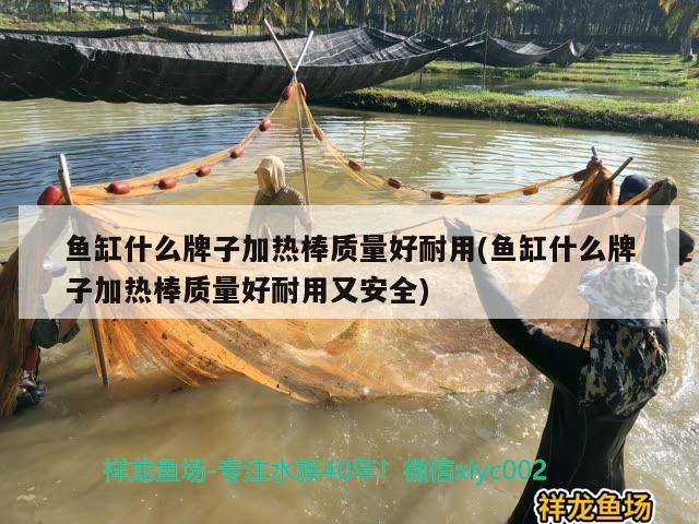 魚(yú)缸什么牌子加熱棒質(zhì)量好耐用(魚(yú)缸什么牌子加熱棒質(zhì)量好耐用又安全) 非洲象鼻魚(yú)