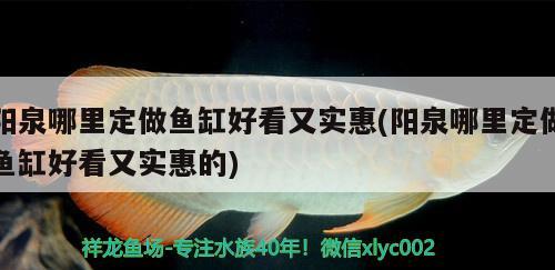 陽(yáng)泉哪里定做魚缸好看又實(shí)惠(陽(yáng)泉哪里定做魚缸好看又實(shí)惠的)