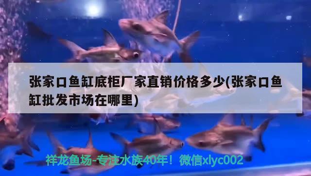 張家口魚缸底柜廠家直銷價格多少(張家口魚缸批發(fā)市場在哪里) 龍魚百科