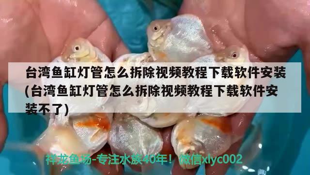 臺灣魚缸燈管怎么拆除視頻教程下載軟件安裝(臺灣魚缸燈管怎么拆除視頻教程下載軟件安裝不了) 養(yǎng)魚知識