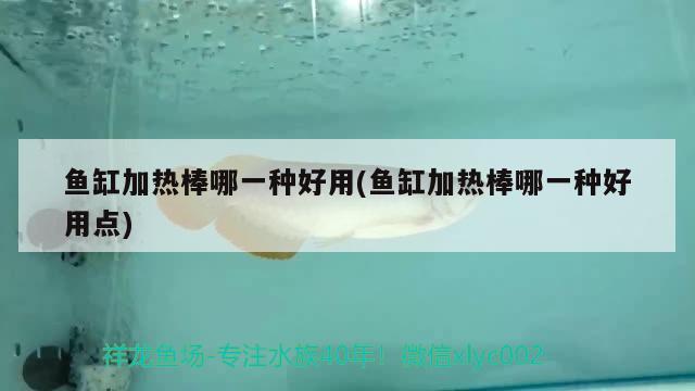 魚缸加熱棒哪一種好用(魚缸加熱棒哪一種好用點) 其他益生菌