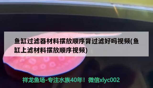 魚缸過濾器材料擺放順序背過濾好嗎視頻(魚缸上濾材料擺放順序視頻)