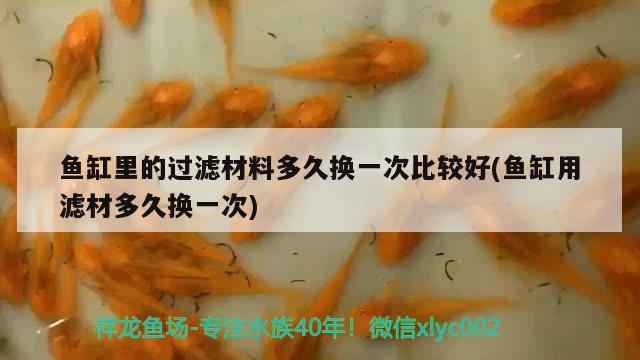 魚缸里的過濾材料多久換一次比較好(魚缸用濾材多久換一次)