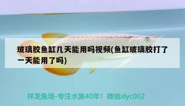 玻璃膠魚缸幾天能用嗎視頻(魚缸玻璃膠打了一天能用了嗎)