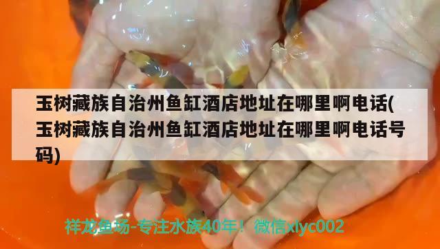 玉樹藏族自治州魚缸酒店地址在哪里啊電話(玉樹藏族自治州魚缸酒店地址在哪里啊電話號碼) 充氧泵 第2張