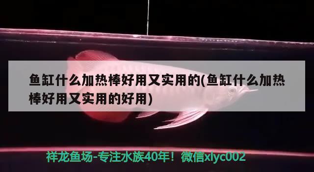 魚缸什么加熱棒好用又實用的(魚缸什么加熱棒好用又實用的好用) 白子銀版魚