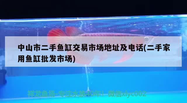 中山市二手魚缸交易市場地址及電話(二手家用魚缸批發(fā)市場) 黑桃A魚苗