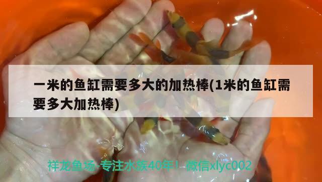 一米的魚缸需要多大的加熱棒(1米的魚缸需要多大加熱棒)