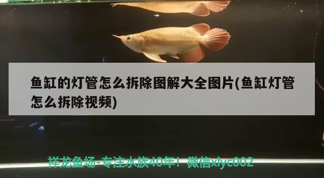 魚(yú)缸的燈管怎么拆除圖解大全圖片(魚(yú)缸燈管怎么拆除視頻) 定時(shí)器/自控系統(tǒng)