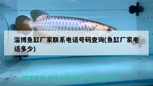 淄博魚缸廠家聯(lián)系電話號碼查詢(魚缸廠家電話多少)