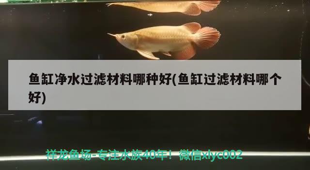 魚(yú)缸凈水過(guò)濾材料哪種好(魚(yú)缸過(guò)濾材料哪個(gè)好)