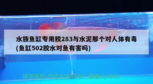 水族魚(yú)缸專用膠283與水泥那個(gè)對(duì)人體有毒(魚(yú)缸502膠水對(duì)魚(yú)有害嗎)