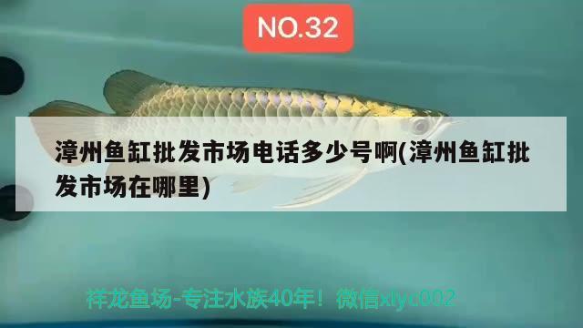 漳州魚缸批發(fā)市場(chǎng)電話多少號(hào)啊(漳州魚缸批發(fā)市場(chǎng)在哪里)