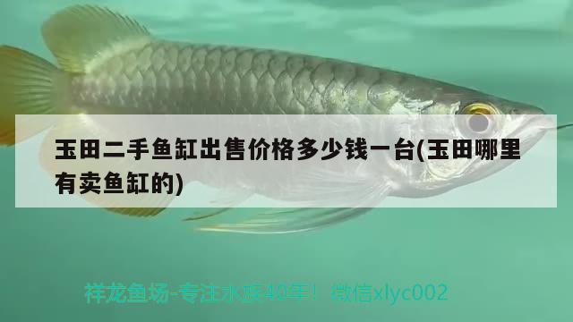 玉田二手魚缸出售價格多少錢一臺(玉田哪里有賣魚缸的) 錦鯉池魚池建設