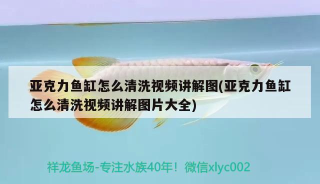 亞克力魚(yú)缸怎么清洗視頻講解圖(亞克力魚(yú)缸怎么清洗視頻講解圖片大全) 綠皮辣椒小紅龍