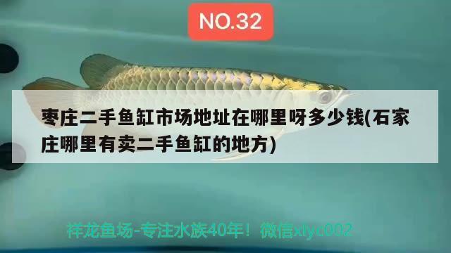 棗莊二手魚缸市場地址在哪里呀多少錢(石家莊哪里有賣二手魚缸的地方) 觀賞魚進出口