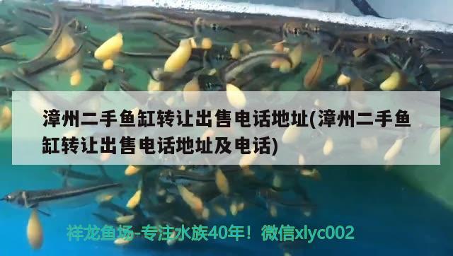 漳州二手魚缸轉讓出售電話地址(漳州二手魚缸轉讓出售電話地址及電話) 潛水艇魚