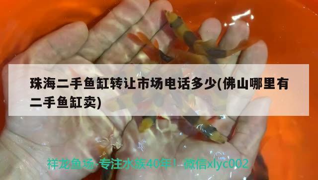 珠海二手魚缸轉(zhuǎn)讓市場電話多少(佛山哪里有二手魚缸賣) 金龍魚糧