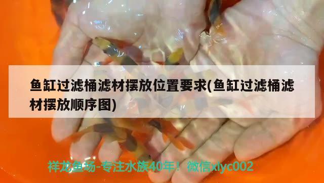 魚缸過濾桶濾材擺放位置要求(魚缸過濾桶濾材擺放順序圖) 廣州祥龍國際水族貿(mào)易