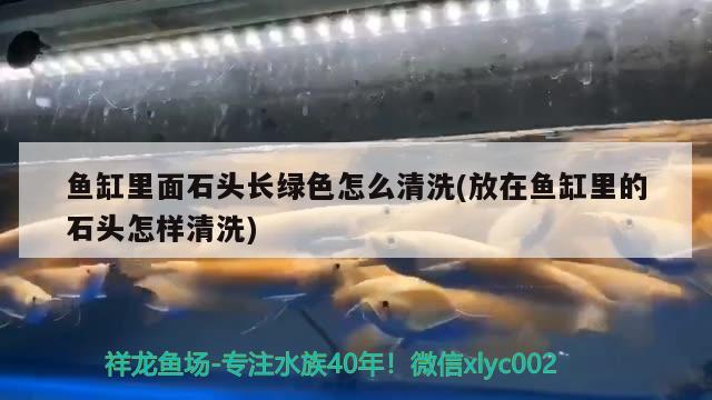 魚缸里面石頭長綠色怎么清洗(放在魚缸里的石頭怎樣清洗)