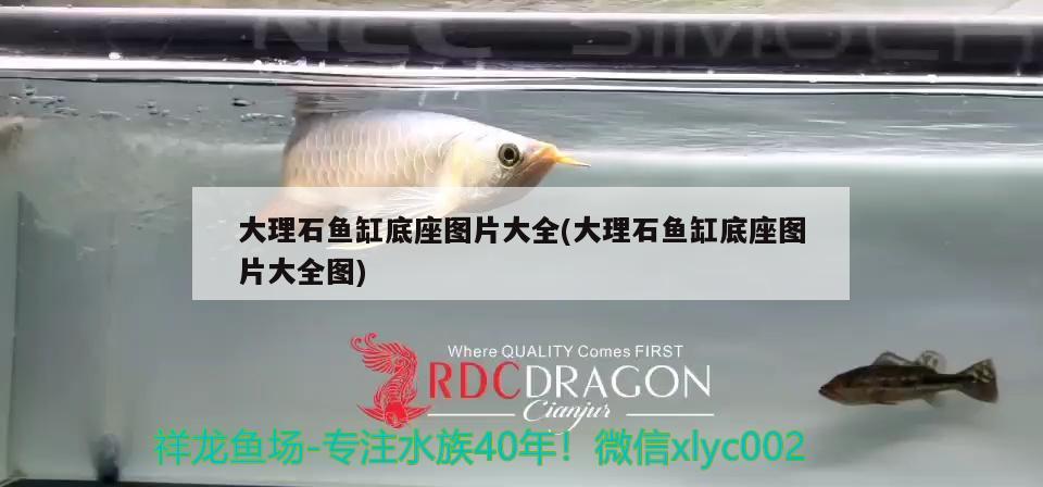 大理石魚缸底座圖片大全(大理石魚缸底座圖片大全圖)