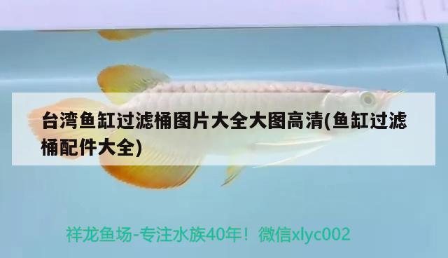 臺(tái)灣魚缸過濾桶圖片大全大圖高清(魚缸過濾桶配件大全) 白子金龍魚