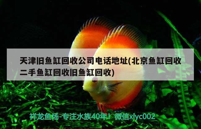 天津舊魚缸回收公司電話地址(北京魚缸回收二手魚缸回收舊魚缸回收)