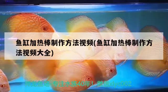 魚缸加熱棒制作方法視頻(魚缸加熱棒制作方法視頻大全)