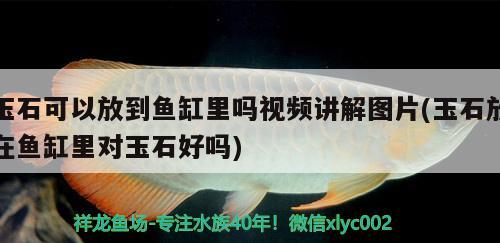 玉石可以放到魚(yú)缸里嗎視頻講解圖片(玉石放在魚(yú)缸里對(duì)玉石好嗎)