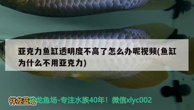 亞克力魚缸透明度不高了怎么辦呢視頻(魚缸為什么不用亞克力) 皇冠黑白魟魚