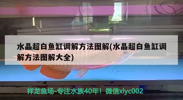 水晶超白魚缸調解方法圖解(水晶超白魚缸調解方法圖解大全)