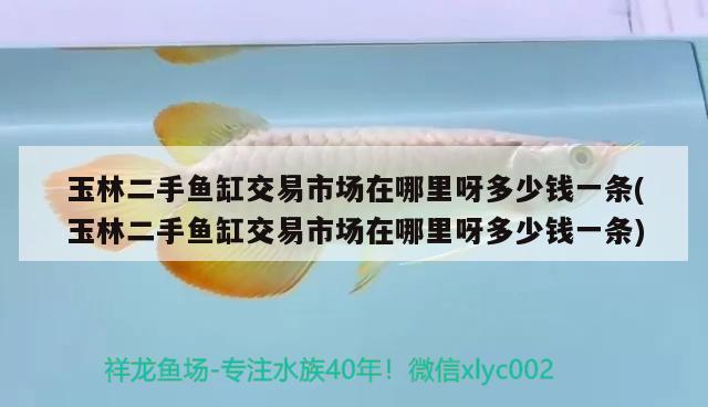 玉林二手魚缸交易市場在哪里呀多少錢一條(玉林二手魚缸交易市場在哪里呀多少錢一條)