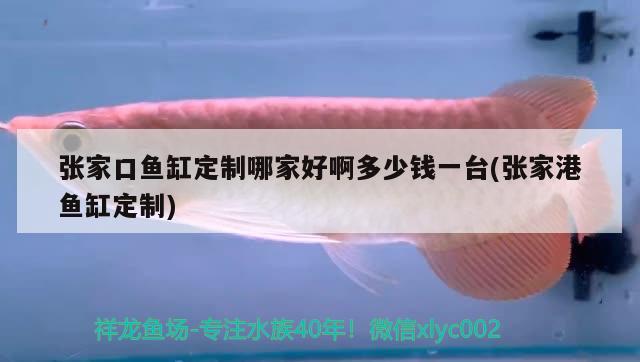 張家口魚缸定制哪家好啊多少錢一臺(張家港魚缸定制) 大正錦鯉魚