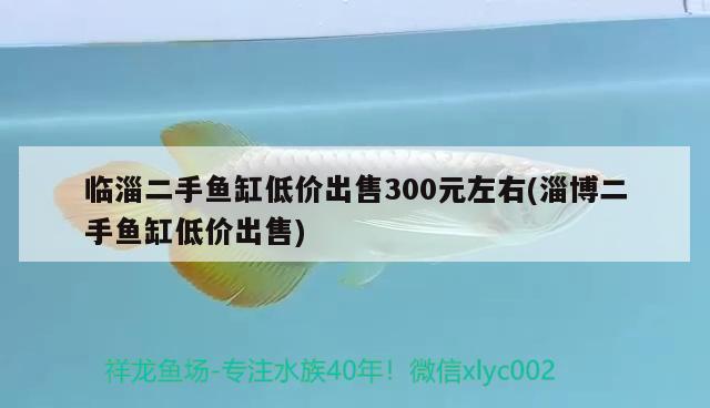 臨淄二手魚缸低價(jià)出售300元左右(淄博二手魚缸低價(jià)出售) 魟魚百科