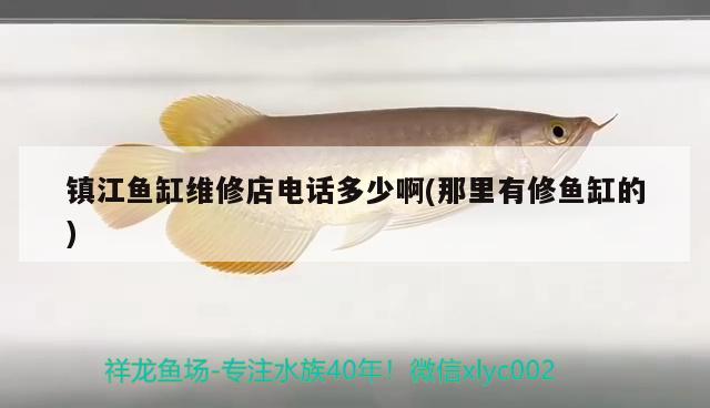 鎮(zhèn)江魚缸維修店電話多少啊(那里有修魚缸的) 水族雜談