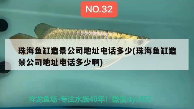 珠海魚缸造景公司地址電話多少(珠海魚缸造景公司地址電話多少啊) 養(yǎng)魚知識(shí)