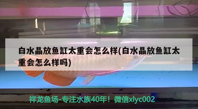 白水晶放魚缸太重會怎么樣(白水晶放魚缸太重會怎么樣嗎) 金龍魚百科