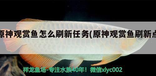 原神觀賞魚怎么刷新任務(wù)(原神觀賞魚刷新點(diǎn))