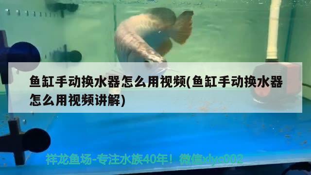 魚缸手動換水器怎么用視頻(魚缸手動換水器怎么用視頻講解) 埃及神仙魚