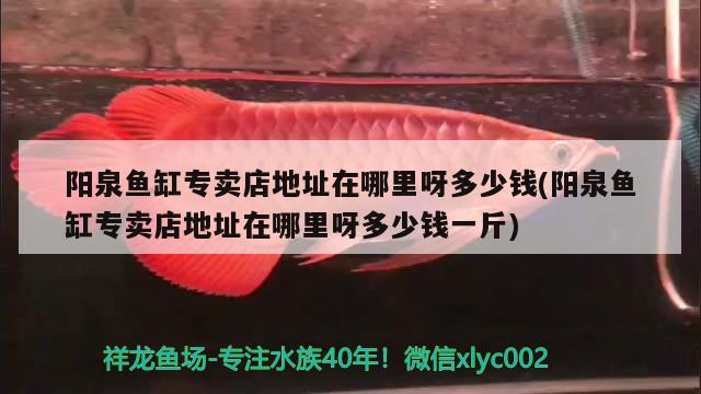 陽泉魚缸專賣店地址在哪里呀多少錢(陽泉魚缸專賣店地址在哪里呀多少錢一斤) 養(yǎng)魚知識(shí)