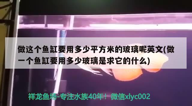 做這個魚缸要用多少平方米的玻璃呢英文(做一個魚缸要用多少玻璃是求它的什么) 虎斑恐龍魚 第2張