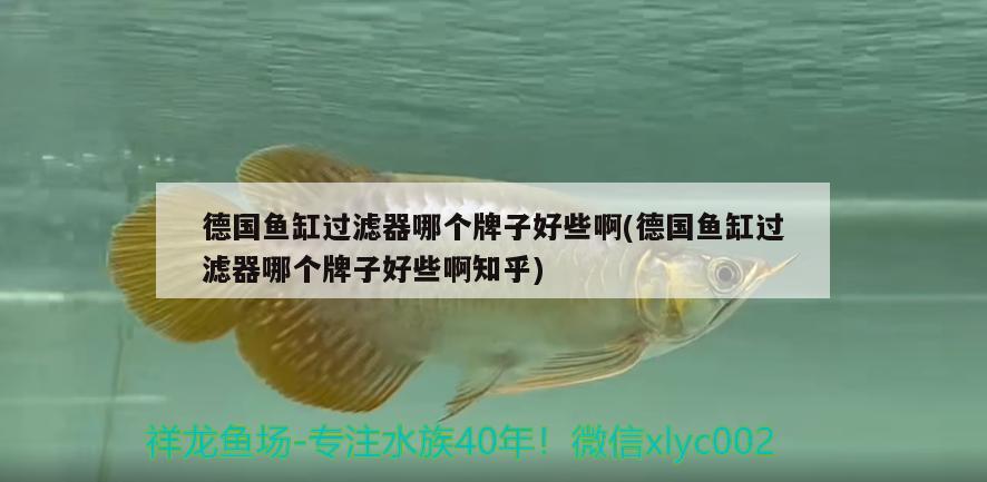 德國魚缸過濾器哪個牌子好些啊(德國魚缸過濾器哪個牌子好些啊知乎)