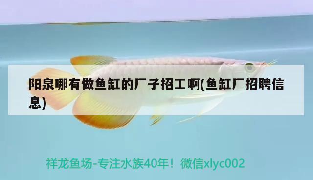 陽(yáng)泉哪有做魚(yú)缸的廠子招工啊(魚(yú)缸廠招聘信息)